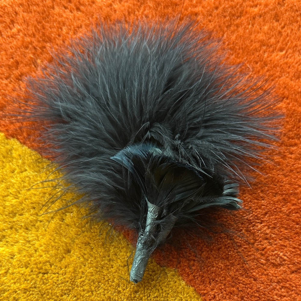 Vintage Victorian Feather Mourning Pin